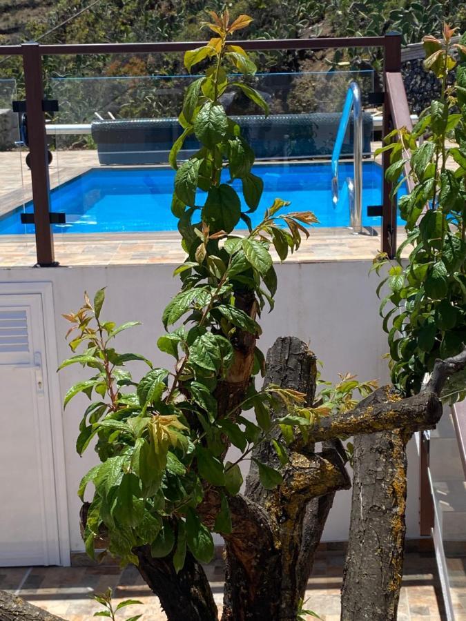 Taibique Vivienda Vacacional Casa Lola מראה חיצוני תמונה